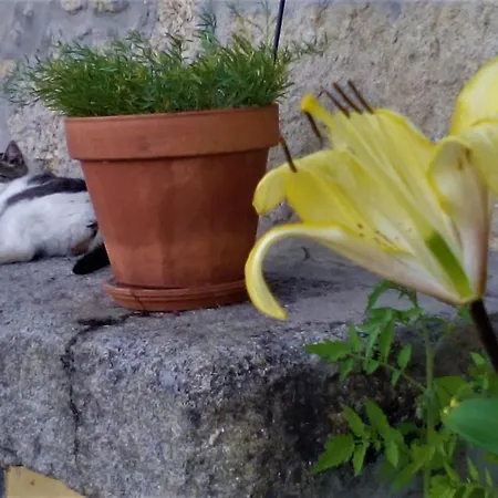 Monte Da Fonte Santa De Sao Luis * קאסטלו בראנקו