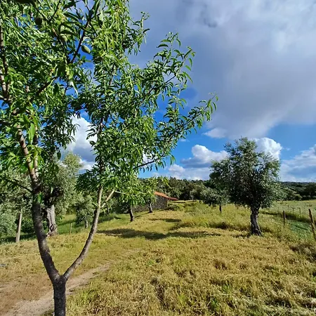 Monte Da Fonte Santa De Sao Luis * Castelo Branco (Centro)
