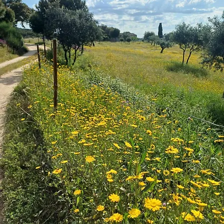 Monte Da Fonte Santa De Sao Luis בית כפרי קאסטלו בראנקו