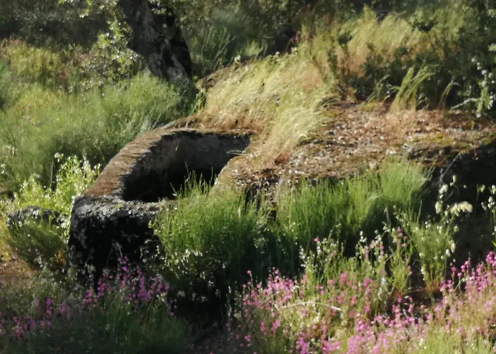 Monte Da Fonte Santa De Sao Luis Venkovský dům