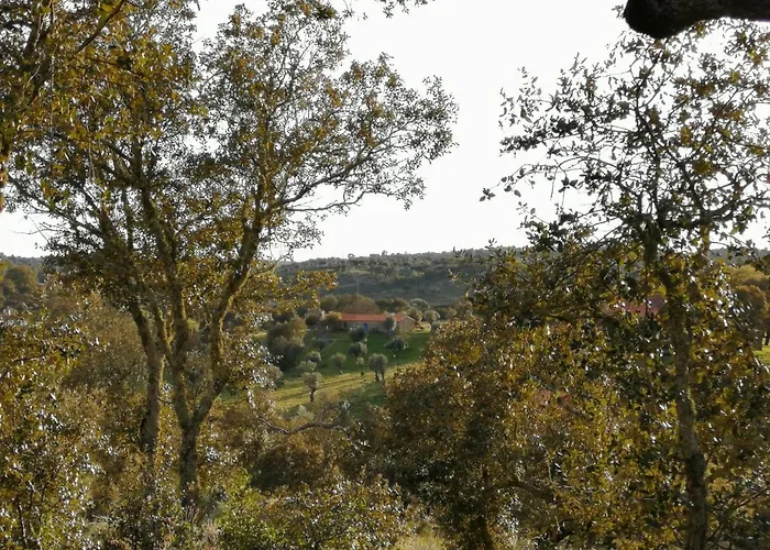 カントリーハウス Monte Da Fonte Santa De Sao Luis カステロ・ブランコ