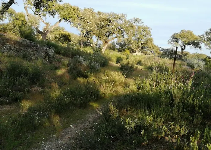 Monte Da Fonte Santa De Sao Luis Venkovský dům *