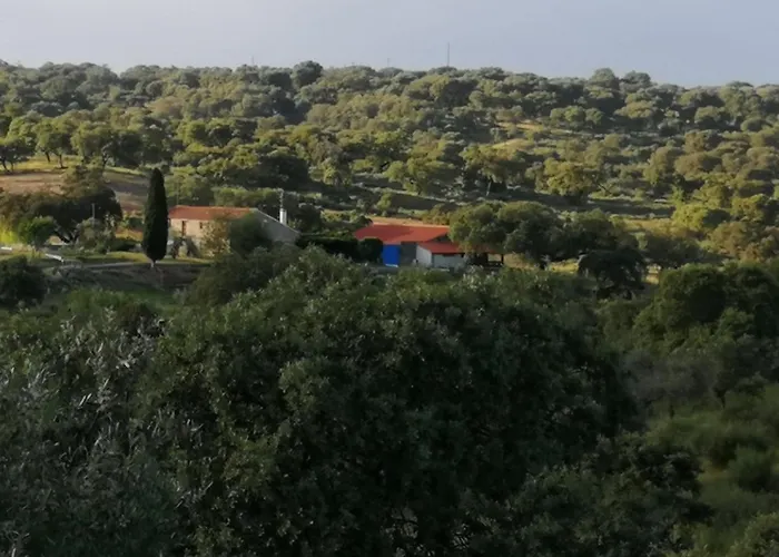 Monte Da Fonte Santa De Sao Luis Castelo Branco (Centro)