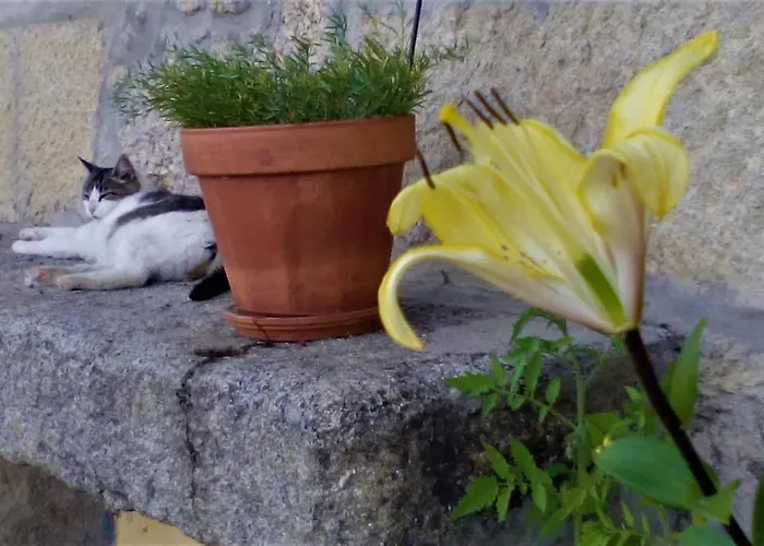 Monte Da Fonte Santa De Sao Luis * Castelo Branco (Centro)