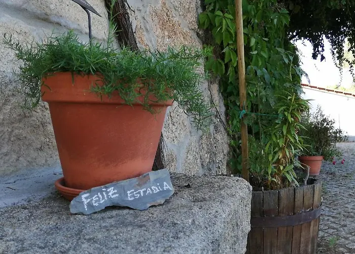 Monte Da Fonte Santa De Sao Luis Castelo Branco (Centro)