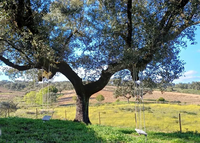 Monte Da Fonte Santa De Sao Luis Venkovský dům *
