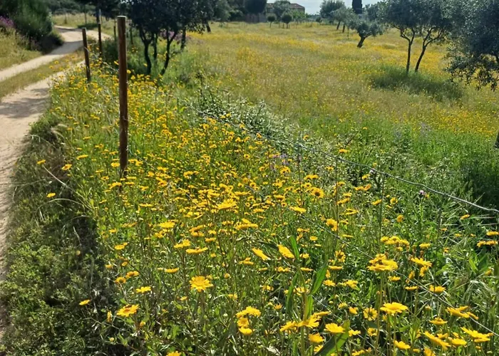 Monte Da Fonte Santa De Sao Luis Venkovský dům Castelo Branco (Centro)