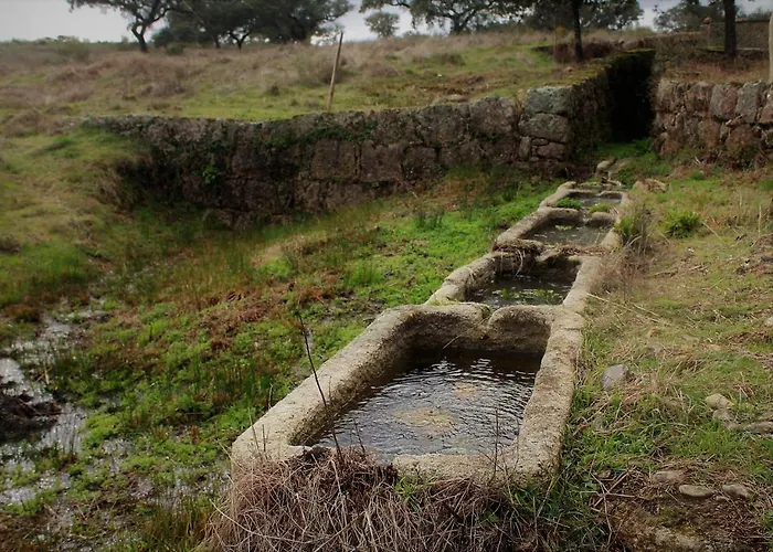Monte Da Fonte Santa De Sao Luis Castelo Branco (Centro)